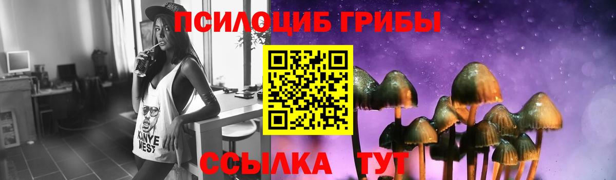 Галлюциногенные грибы Psilocybe  Вход с VPN  Галлюциногенные грибы Magic Shrooms  Чистополь 